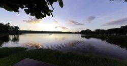 LAGO JARDIM DOS PINHEIROS