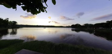 LAGO JARDIM DOS PINHEIROS