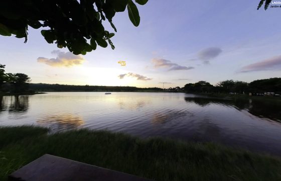 LAGO JARDIM DOS PINHEIROS