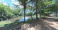 JARDIM DO LAGO