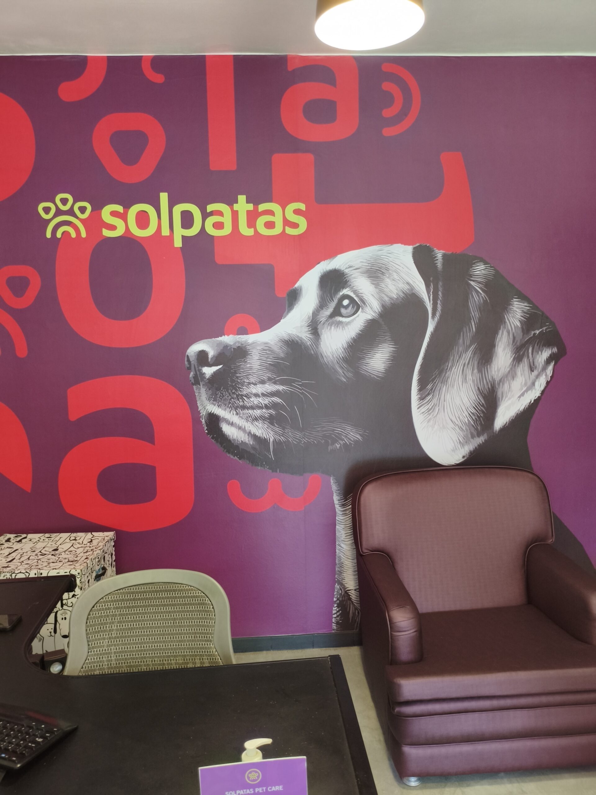 Solpatas – seu Petcare em Atibaia