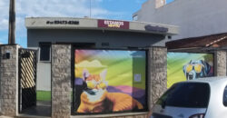 Solpatas – seu Petcare em Atibaia