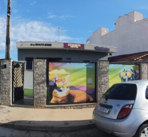 Solpatas – seu Pet care em Atibaia