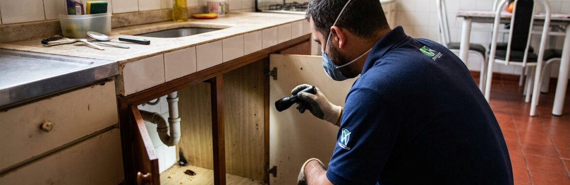 O que é dedetização em Atibaia e quando contratar esse serviço