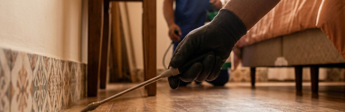 Como funciona o controle de pragas em Atibaia para residências