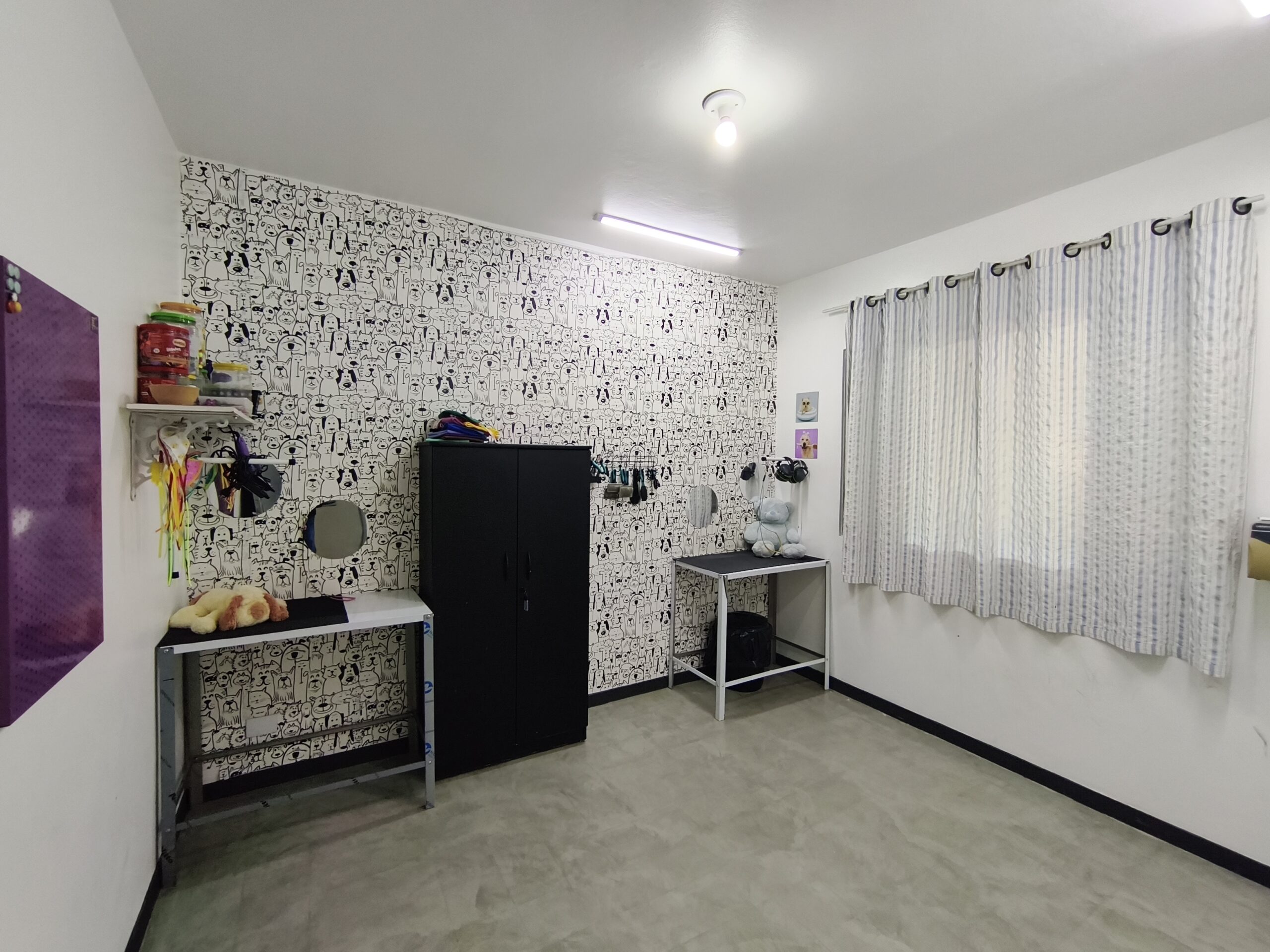 Solpatas – seu Petcare em Atibaia