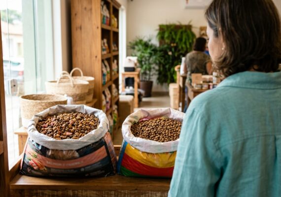 Rações premium x comuns: saiba qual escolher para seu pet